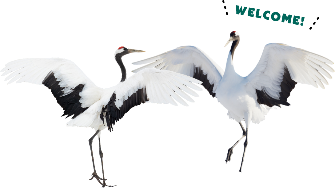 タンチョウ WELCOME