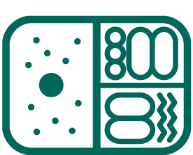 内容カスタマイズ