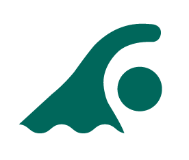 内容カスタマイズ